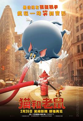 典雅倩影